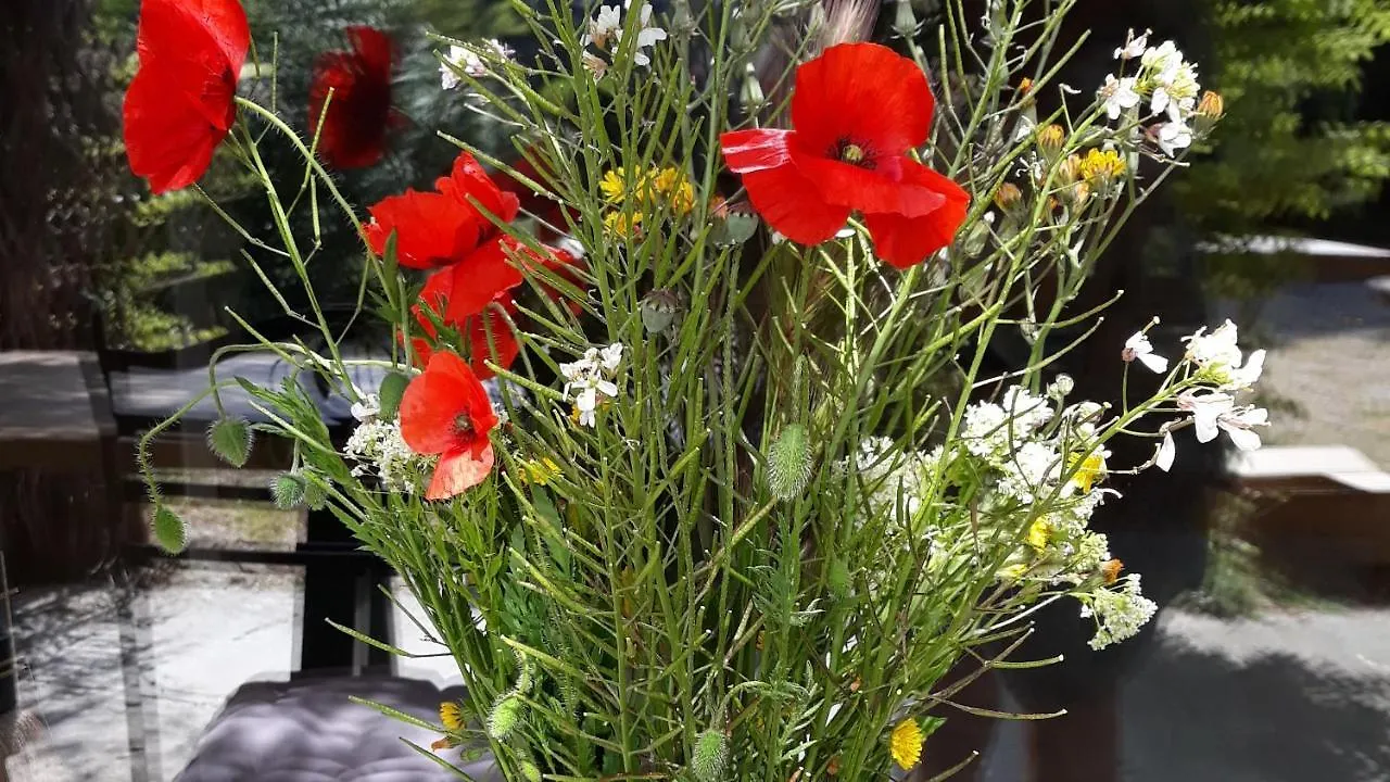 Mas La Pomarede Bed & Breakfast Robion en Luberon